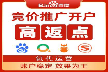 成功企业SEM竞价代运营案例研究